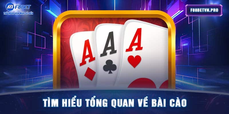 Tìm hiểu tổng quan về bài cào