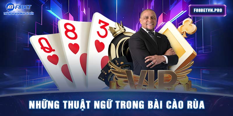 Những thuật ngữ trong bài cào rùa